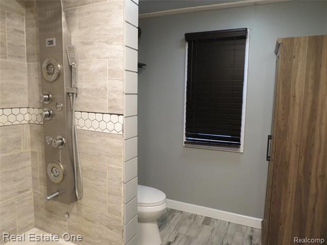 Builiding view twenty for 225 South, Fowlerville, MI. 48836