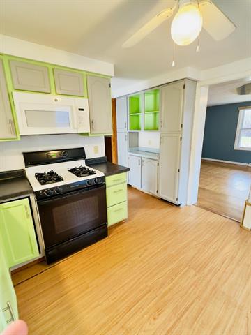 Builiding view nine for 917 Barnes, Lansing, MI. 48910