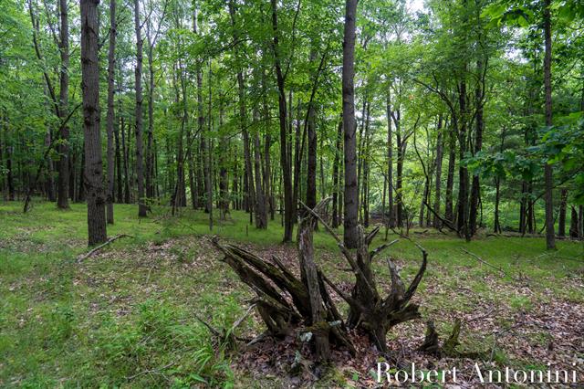 Builiding view eight for 4751 Johnson, Gowen, MI. 49326