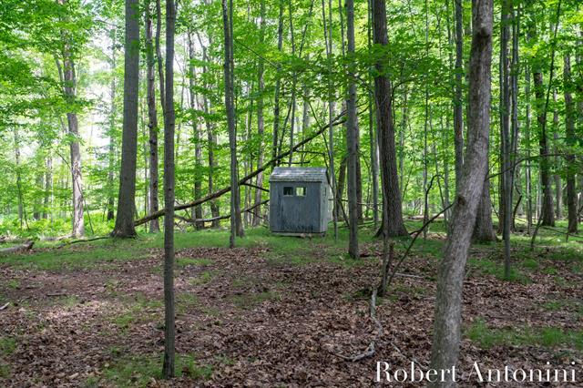 Builiding view nine for 4751 Johnson, Gowen, MI. 49326