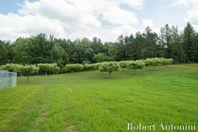 Builiding view one hundred thirty six for 4751 Johnson, Gowen, MI. 49326