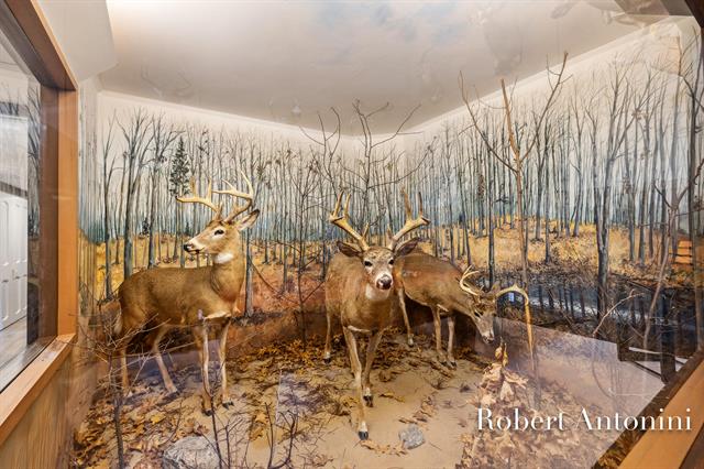 Builiding view six for 4751 Johnson, Gowen, MI. 49326