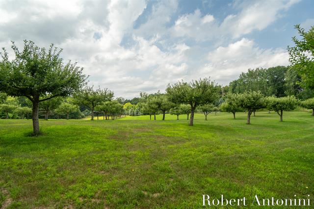 Builiding view twenty for 4751 Johnson, Gowen, MI. 49326