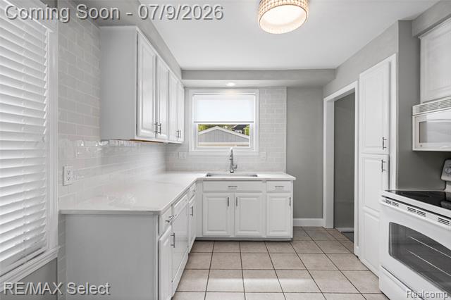 Builiding view nineteen for 609 N Connecticut, Royal Oak, MI. 48067