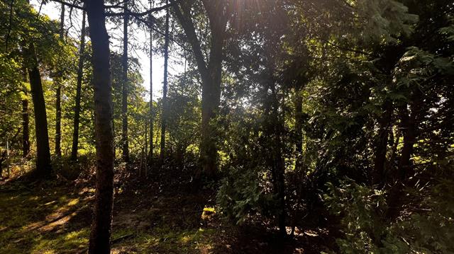 Builiding view eight for 217 Old Creek, Saline, MI. 48176