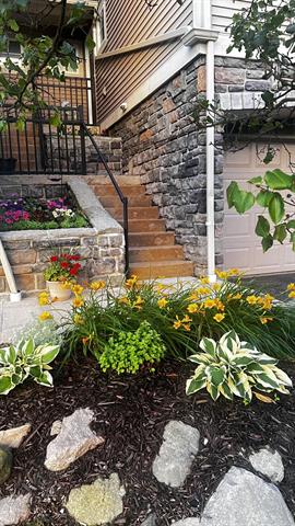 Builiding view forty eight for 217 Old Creek, Saline, MI. 48176