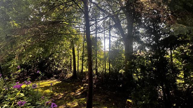 Builiding view nine for 217 Old Creek, Saline, MI. 48176