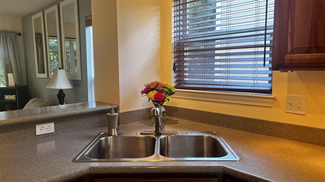 Builiding view nineteen for 217 Old Creek, Saline, MI. 48176