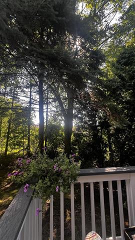 Builiding view ten for 217 Old Creek, Saline, MI. 48176