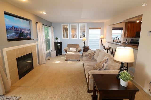 Builiding view thirteen for 217 Old Creek, Saline, MI. 48176