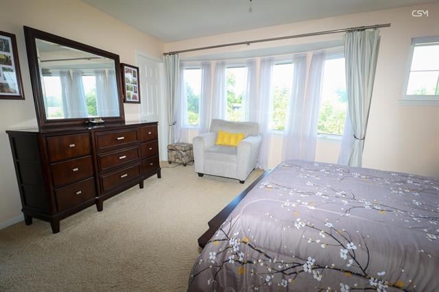 Builiding view thirty one for 217 Old Creek, Saline, MI. 48176