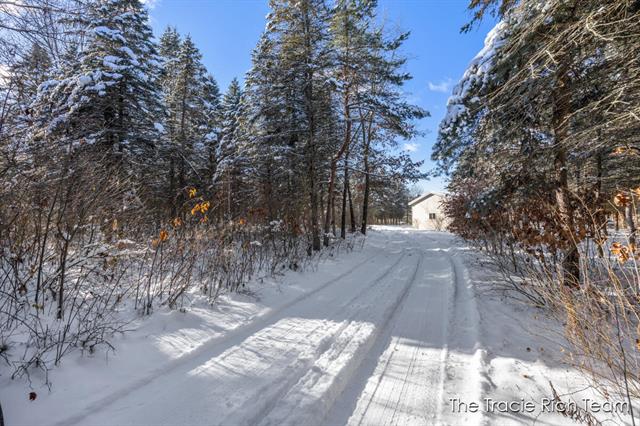 Builiding view twenty five for 11582 Riehl, Greenville, MI. 48838