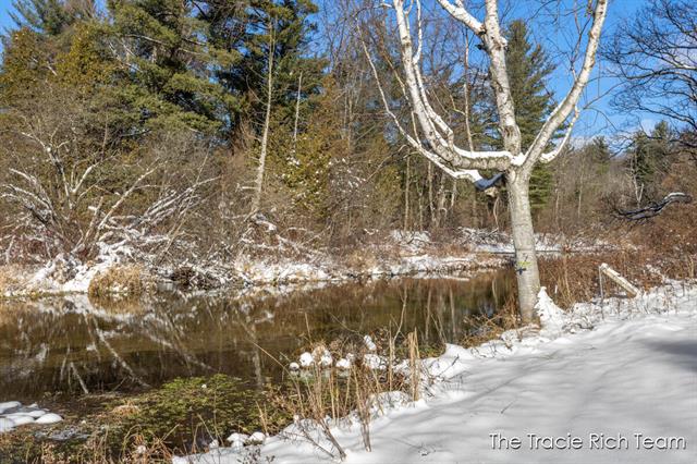 Builiding view twenty three for 11582 Riehl, Greenville, MI. 48838