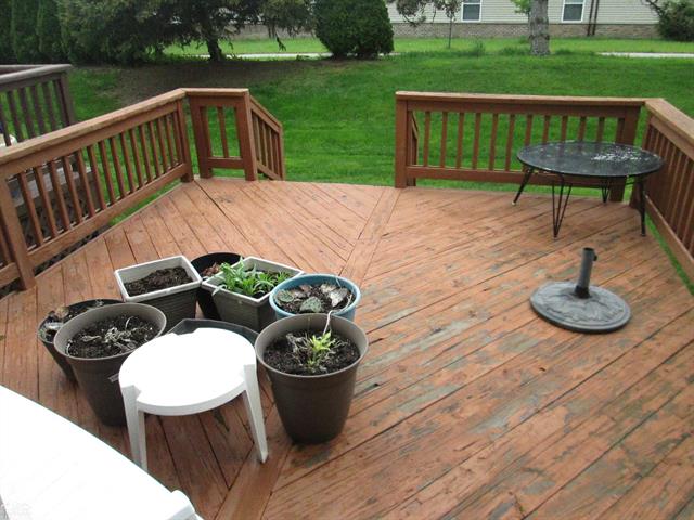 Builiding view one for 25943 New Forest Ct, New Baltimore, MI. 48051