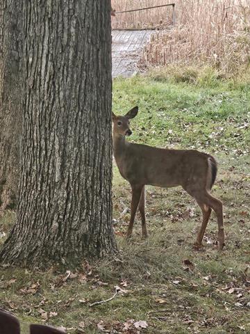 Builiding view sixty nine for 5770 Us 12, Buchanan, MI. 49107