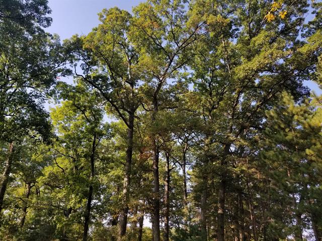 Builiding view sixty one for 5770 Us 12, Buchanan, MI. 49107