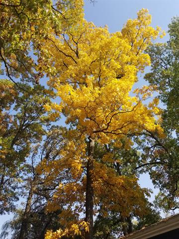 Builiding view sixty three for 5770 Us 12, Buchanan, MI. 49107