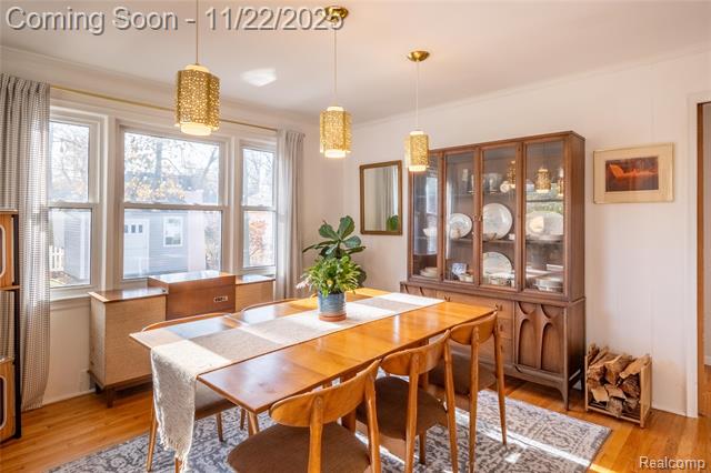 Builiding view ten for 1217 Mayfield, Royal Oak, MI. 48067