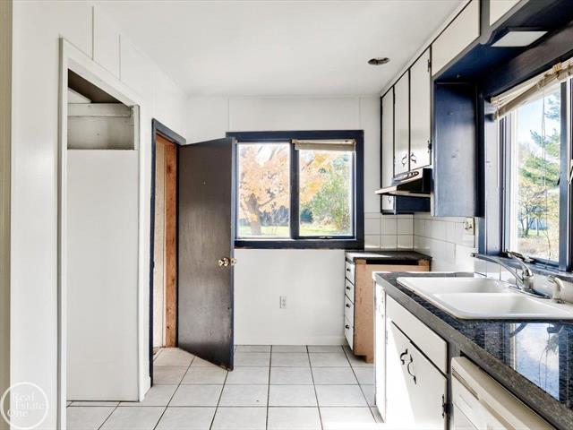 Builiding view ten for 2538 Burnside, North Branch, MI. 48461