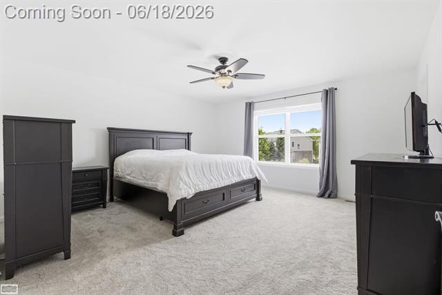 Builiding view thirty eight for 48231 Long Leaf, Macomb, MI. 48044