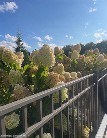 Builiding view seventy six for 8793 Webster Hills, Dexter, MI. 48130