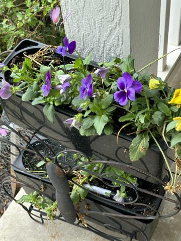 Builiding view forty eight for 3581 Kehoe, Clinton, MI. 49236