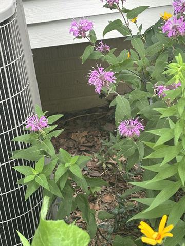 Builiding view forty nine for 3581 Kehoe, Clinton, MI. 49236