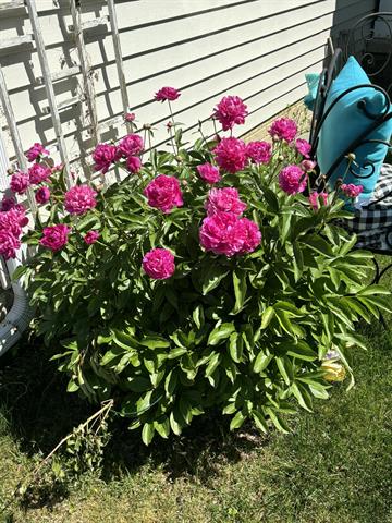 Builiding view forty seven for 3581 Kehoe, Clinton, MI. 49236