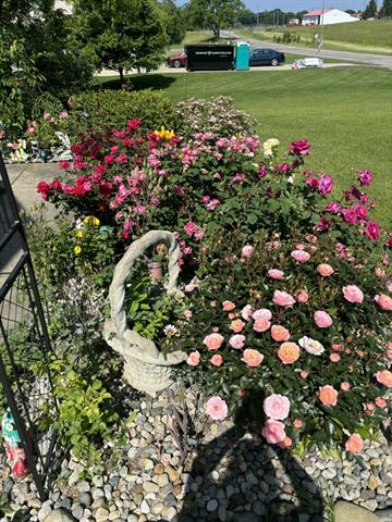 Builiding view four for 3581 Kehoe, Clinton, MI. 49236