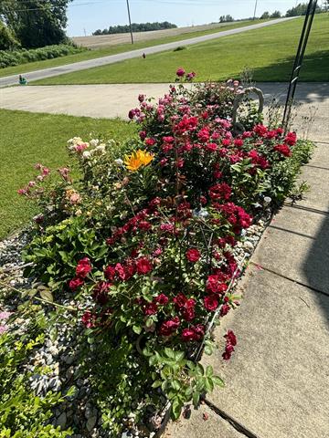 Builiding view three for 3581 Kehoe, Clinton, MI. 49236