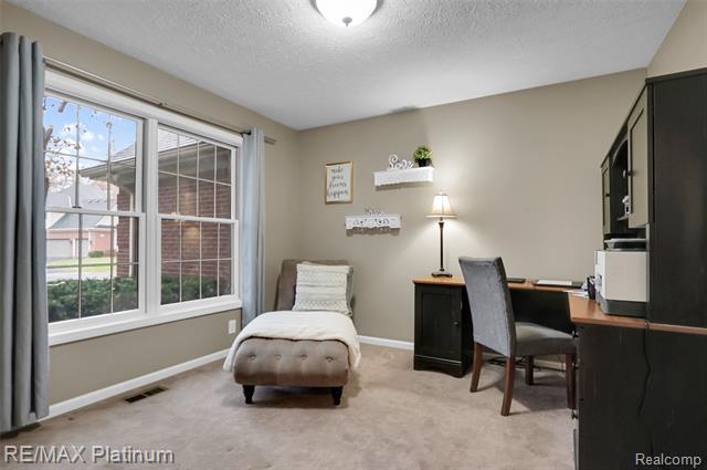 Builiding view twenty for 8039 Boulder Ridge, Brighton, MI. 48116