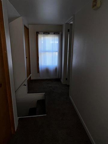 Builiding view twenty two for 213 Montcalm, Greenville, MI. 48838