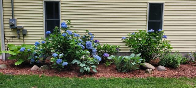 Builiding view fifty for 423 Fernwood, Muskegon, MI. 49442