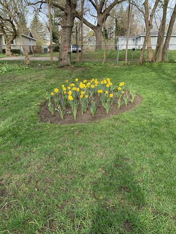 Builiding view thirty one for 2150 Kinsey, Muskegon, MI. 49441