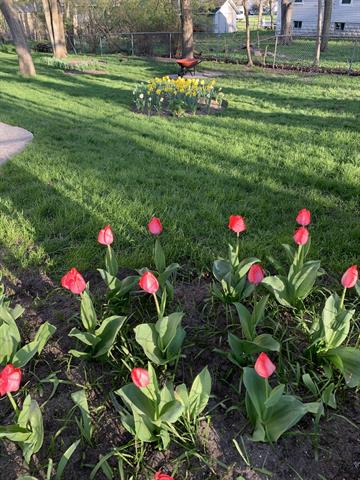 Builiding view thirty two for 2150 Kinsey, Muskegon, MI. 49441