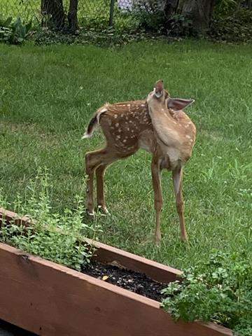 Builiding view thirty for 2150 Kinsey, Muskegon, MI. 49441