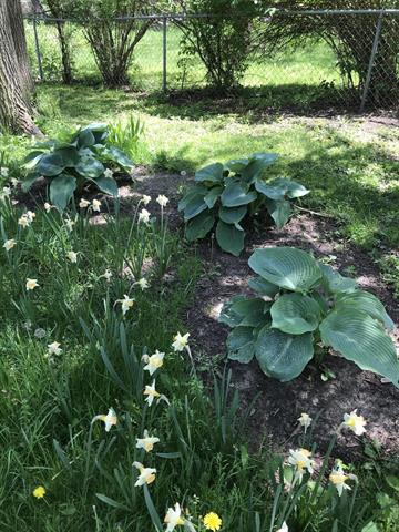 Builiding view twenty five for 2150 Kinsey, Muskegon, MI. 49441