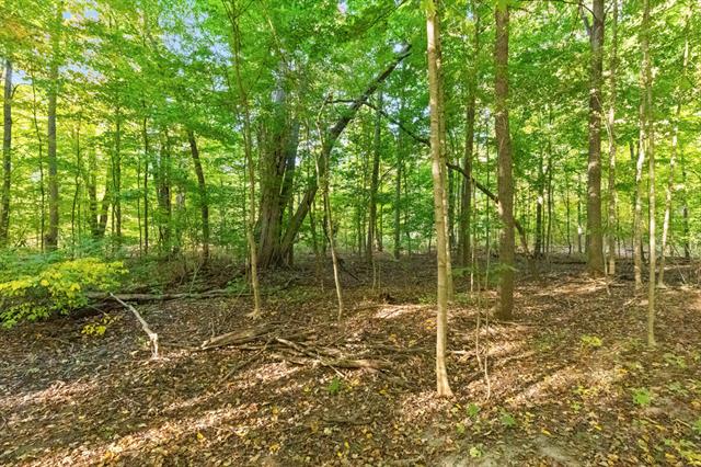 Builiding view seventy one for 4312 Woodside Meadow, Dorr, MI. 49323