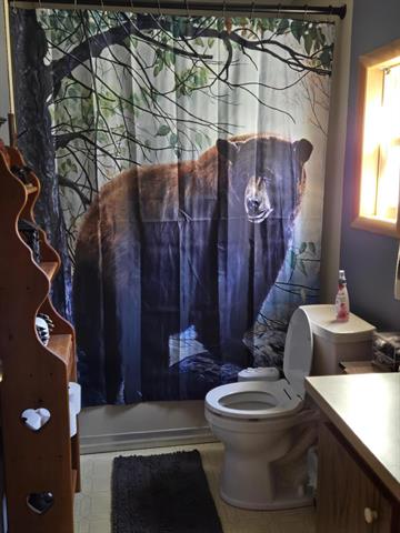 Builiding view seventeen for 801 Rainbow Trail, Baldwin, MI. 49304