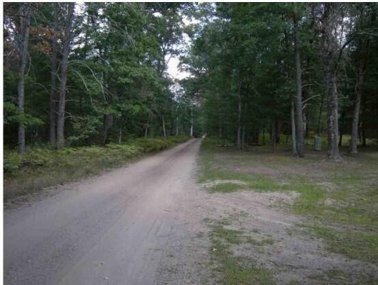 Builiding view twenty three for 801 Rainbow Trail, Baldwin, MI. 49304