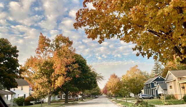 Builiding view thirty four for 307 Ferry, Ludington, MI. 49431