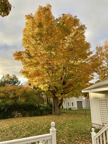 Builiding view thirty three for 307 Ferry, Ludington, MI. 49431