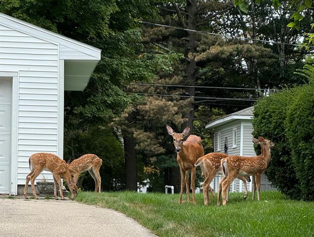 Builiding view thirty two for 307 Ferry, Ludington, MI. 49431