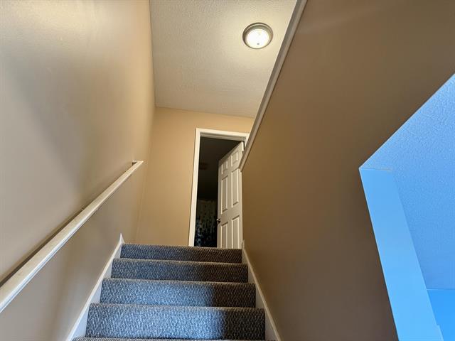 Builiding view thirteen for 303 Wiley, Douglas, MI. 49406