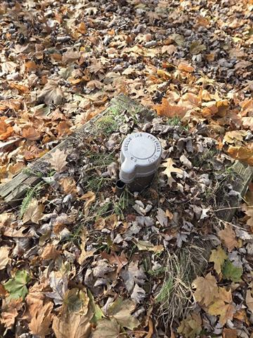 Builiding view one for 11209 Phyllis, Clio, MI. 48420