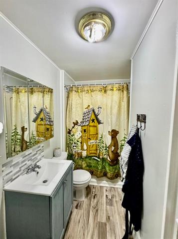 Builiding view eight for 508 Farmer, Otsego, MI. 49078