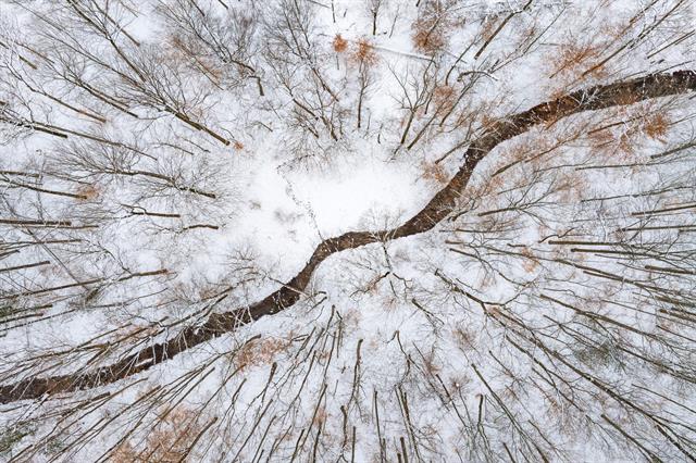 Builiding view thirty one for 706 26Th, Allegan, MI. 49010