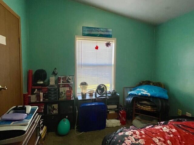 Builiding view fourteen for 310 Welton, Ionia, MI. 48846