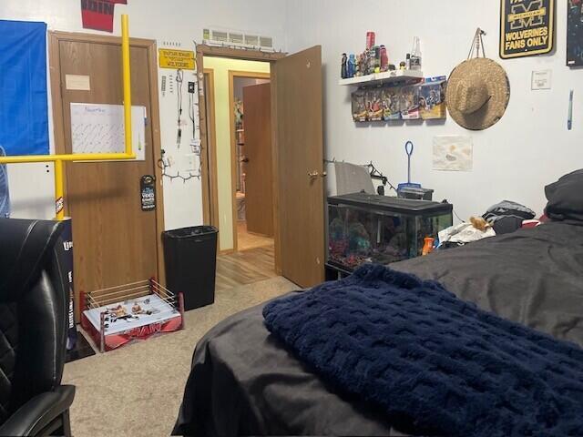 Builiding view seventeen for 310 Welton, Ionia, MI. 48846