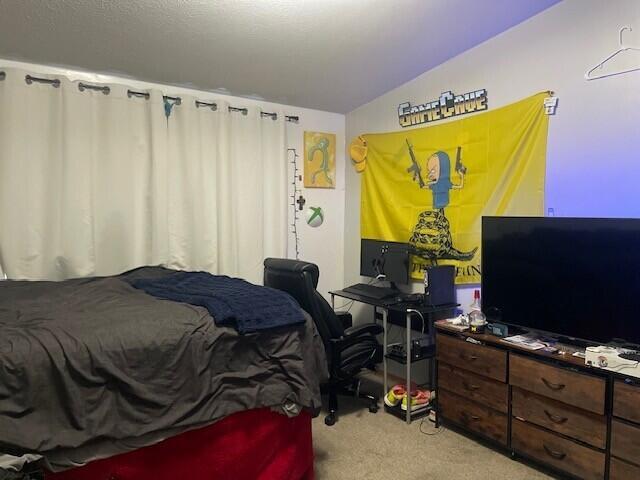 Builiding view sixteen for 310 Welton, Ionia, MI. 48846